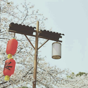 女人裸体性爱全过程
